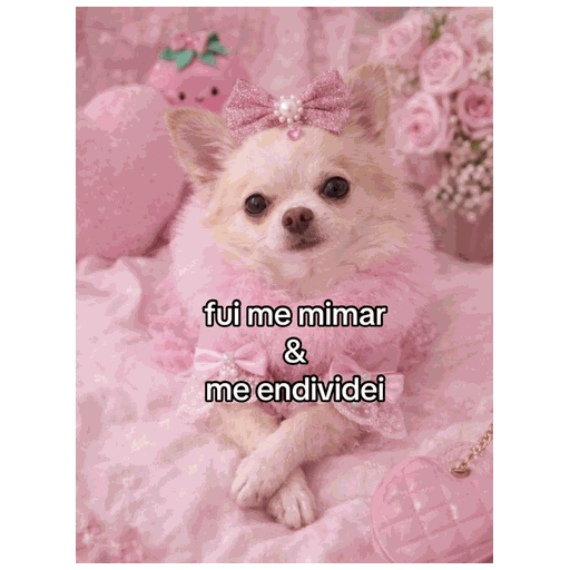 Figurinha: me endividei